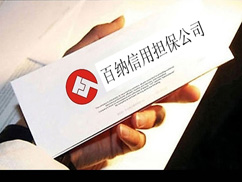 -百納信用擔(dān)保公司