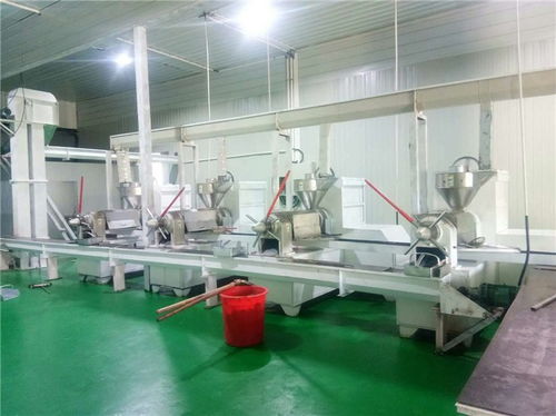 食用油牡丹籽油精煉油設(shè)備多少錢(qián) 悅恒機(jī)械誠(chéng)信經(jīng)營(yíng)