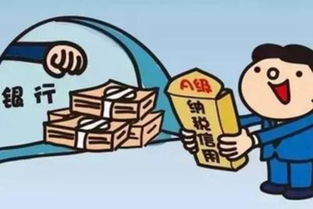 企業(yè)稅務(wù)信用 優(yōu)化抵押與擔(dān)保策略