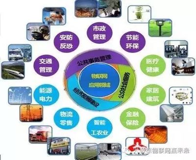 物聯(lián)網(wǎng) 國(guó)家戰(zhàn)略驅(qū)動(dòng)下的技術(shù)革命與產(chǎn)業(yè)未來